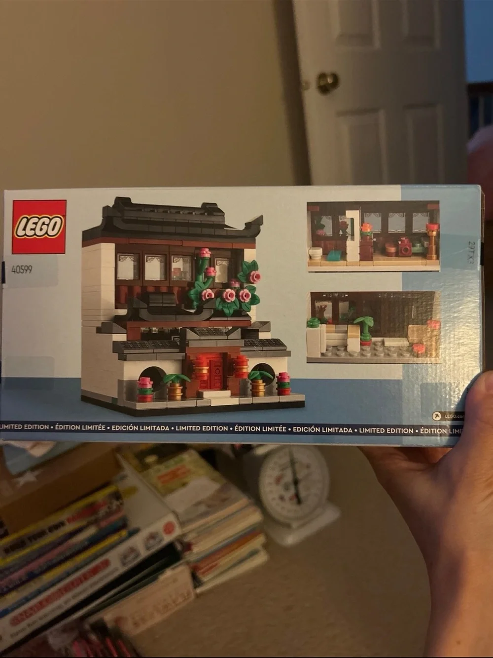 LEGO Houses of the World 4